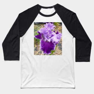 Iris Flower Purple Frilly Baseball T-Shirt